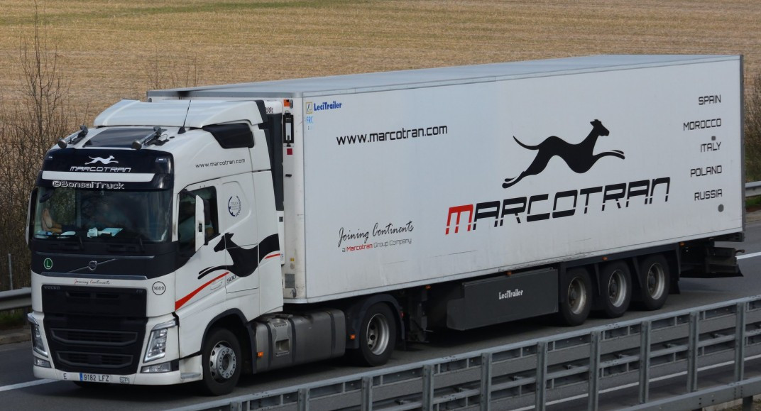 Combo skin Marcotran